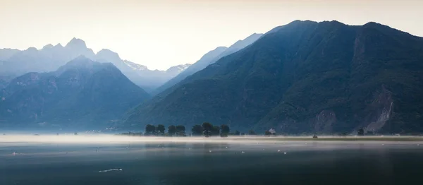 Lago Novate Mezzola Pian Spagna Reserva Natural Cisnes Amanecer — Foto de Stock