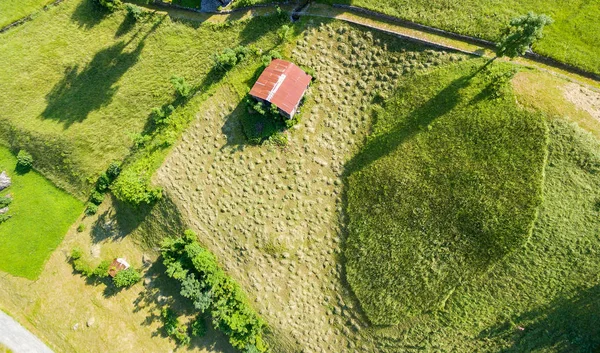 Valtellina (IT) - Traditional hay processing in the mountains