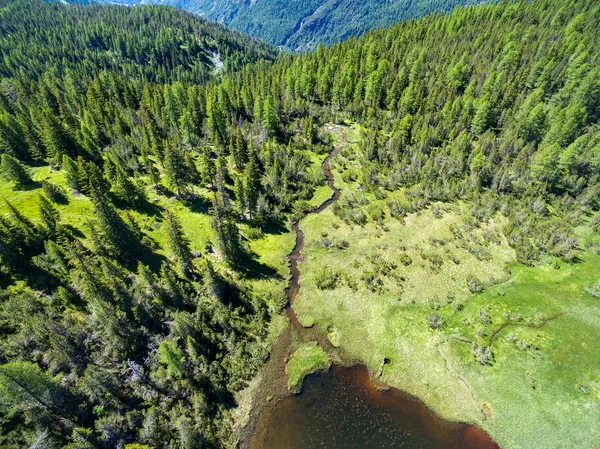 Pond Stream Seen — Stock Photo, Image