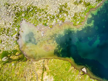 Bataklık gölet - dikey havadan görünümü