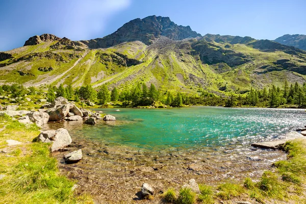 Lago Viola Val Campo Poschiavo Svizzera — Foto Stock