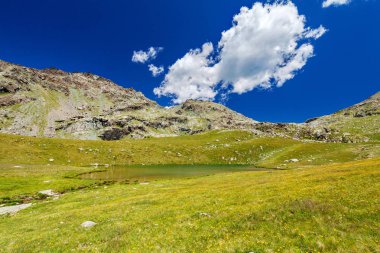 Valmalenco (BT) - gölet ve Alpe Campagneda, çiçekli çayır