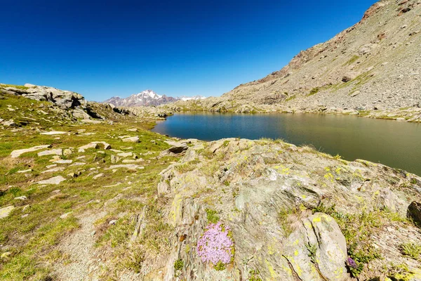 Valmalenco Laghetto Alpe Campagneda 可欣赏到迪格拉齐亚山的景色 — 图库照片
