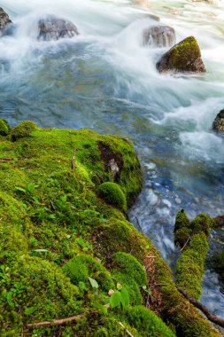 sel sonbahar arka plan ile Cascade'lerde