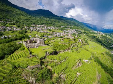 Valtellina (BT) - Grumello alan üzüm bağları