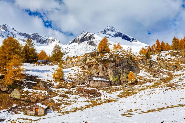 Valmalenco Alpe Dell Oro Chiareggio — Zdjęcie stockowe