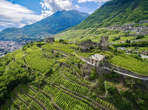 Valtellina Winnice Obszar Grumello — Zdjęcie stockowe