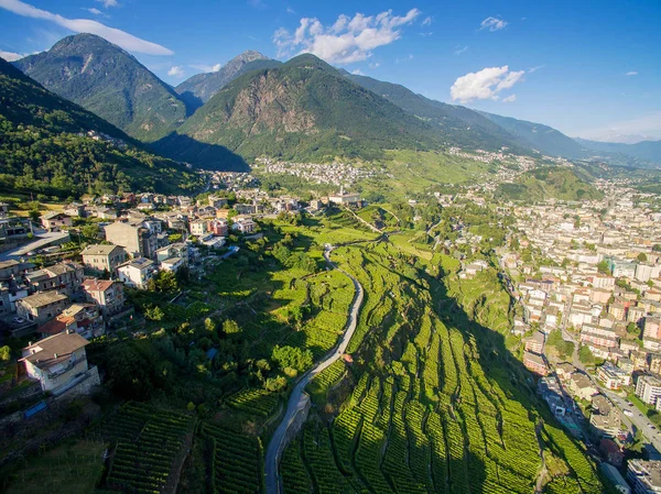 Sondrio Valtellina Légi Áttekintése Szőlőültetvények Frazione Sant Anna San Lorenzo — Stock Fotó