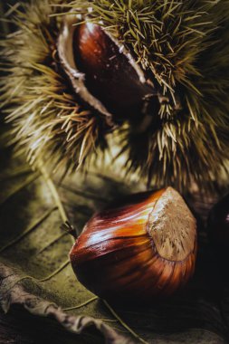 Kahverengi - sonbahar hasat - yakın çekim