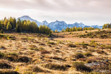 Valmalenco (BT) - Alpe Prabello gelen panoramik sonbahar anteni