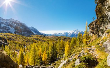 Valmalenco (BT) - Alpe Prabello gelen panoramik sonbahar anteni