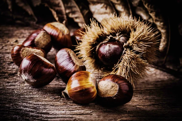 Brauntöne Herbsternte Nahaufnahme — Stockfoto