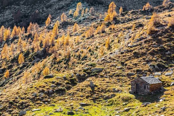 Valgerola Típica Cabaña Montaña Valle Otoño — Foto de Stock