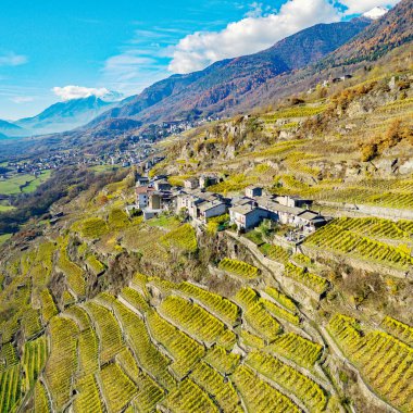 Valtellina (It) - Sondrio Sassella bölgesinde tipik üzüm bağları - Batıya doğru Sonbahar hava görünümü