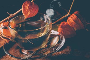 papatya ve kurutulmuş çiçek fincan ile kompozisyon