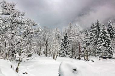 İtalyan Alpleri - taze kar ile kış manzara