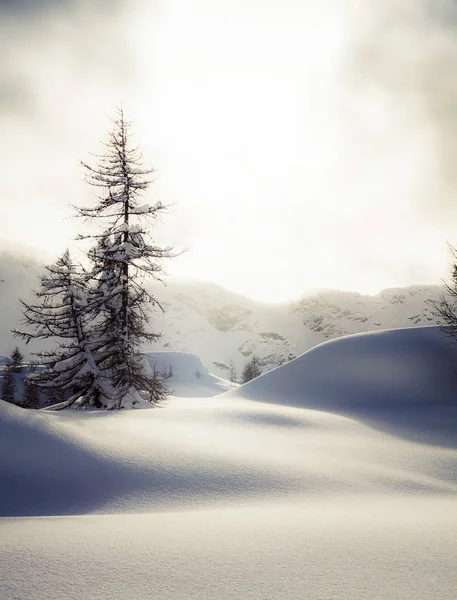 Paysage Alpin Robe Hiver — Photo