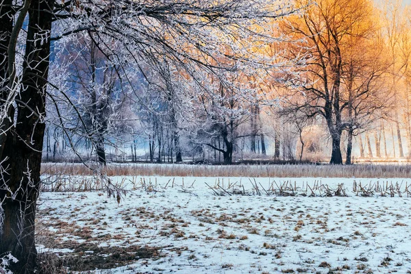 Landschaft Auf Dem Land Bei Frost — Stockfoto