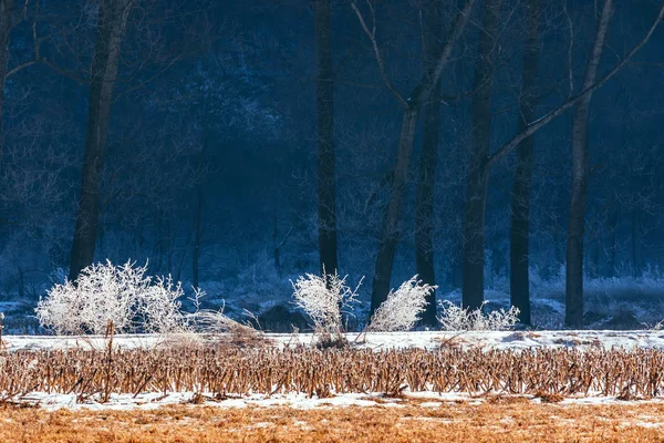 Krajina Venkově Venkově Mrazem — Stock fotografie