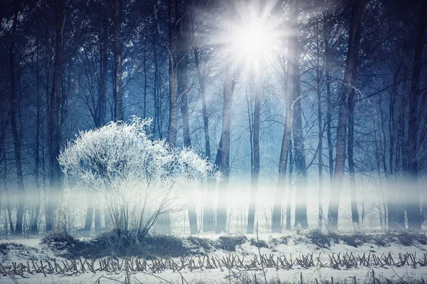 Landskapet Landsbygden Med Frost — Stockfoto