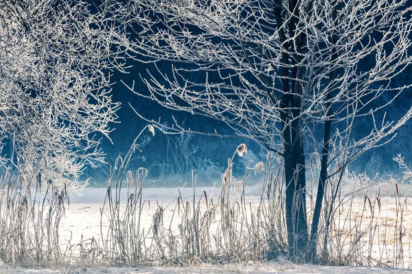 Landschaft Auf Dem Land Bei Frost — Stockfoto