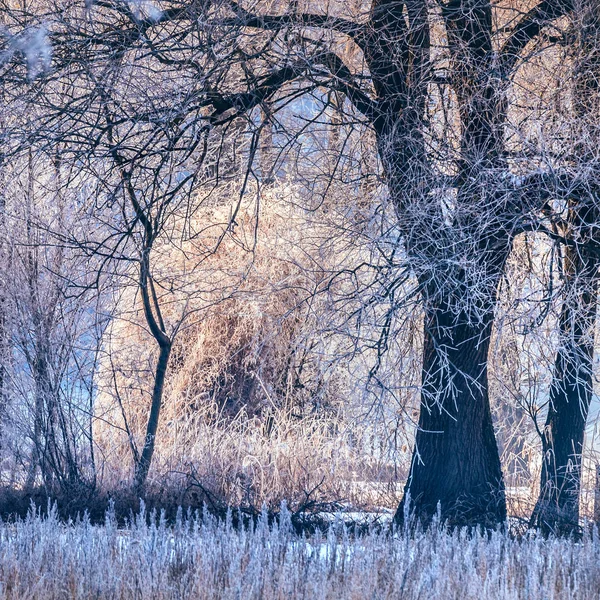 Landschaft Auf Dem Land Bei Frost — Stockfoto