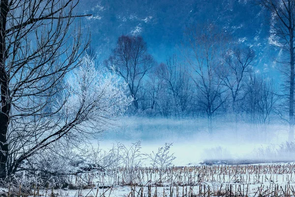 Landscape Countryside Countryside Frost — Stock Photo, Image
