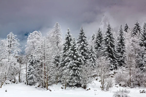 Ιταλικές Άλπεις Χειμερινό Τοπίο Φρέσκο Χιόνι — Φωτογραφία Αρχείου