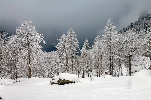 Olasz Alpok Téli Táj Friss Hóval — Stock Fotó