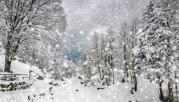 Alpes Italianos Paisaje Invierno Con Nieve Fresca — Foto de Stock