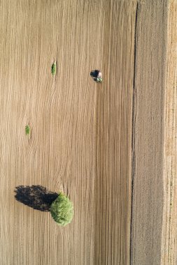 Traktör sürülmüş alanda iş başında - havadan görünüm