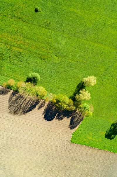 Campos Fluidos Cultivados Vista Aérea — Foto de Stock