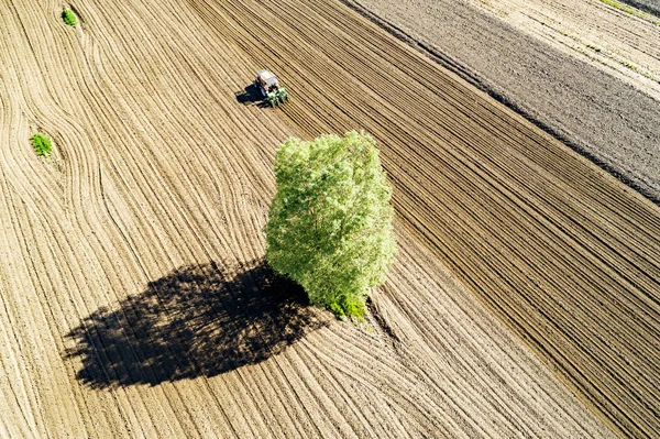 Traktor Bei Der Arbeit Auf Gepflügtem Feld Luftaufnahme — Stockfoto
