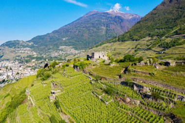 Valtellina (It) - Sondrio yakınlarındaki Grumello üzüm bağları - Havadan görünüm