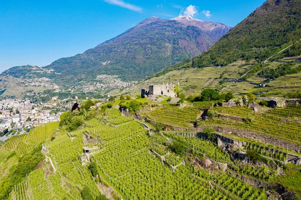 Valtellina Winnice Grumello Pobliżu Sondrio Widok Lotu Ptaka — Zdjęcie stockowe