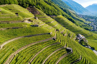 Valtellina (It) - Bianzone - Havadan görünüm  