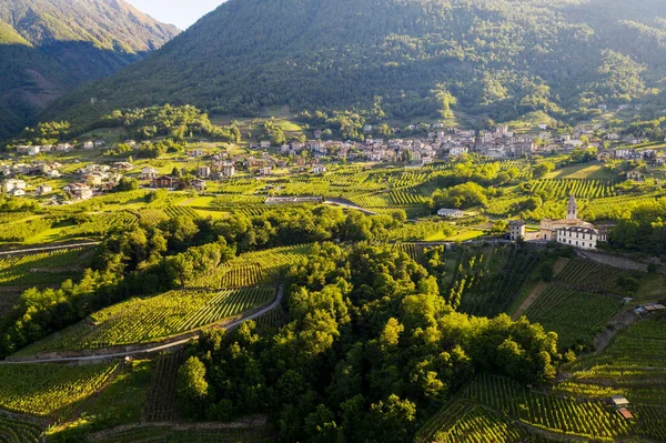 Valtellina Castionetto Chiuro Widok Winnice — Zdjęcie stockowe