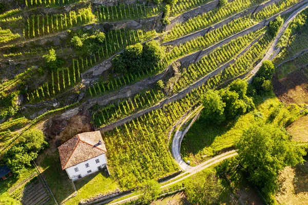 Valtellina Widok Lotu Ptaka — Zdjęcie stockowe