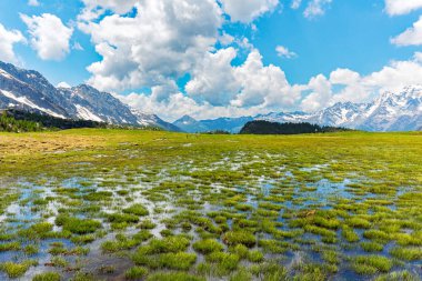 Valmalenco (It) - Alpe Campagneda'da bahar manzarası