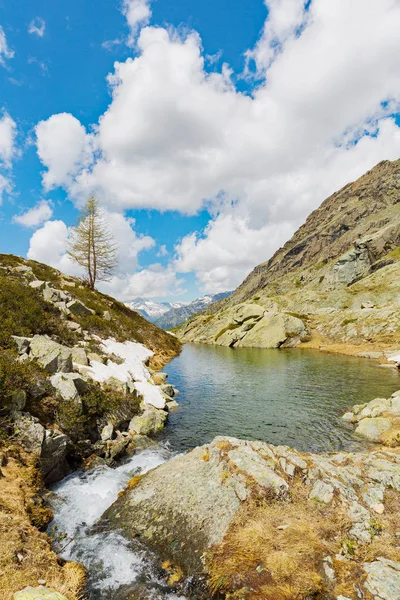 Primavera Paisagem Alpina Com Lagoa — Fotografia de Stock