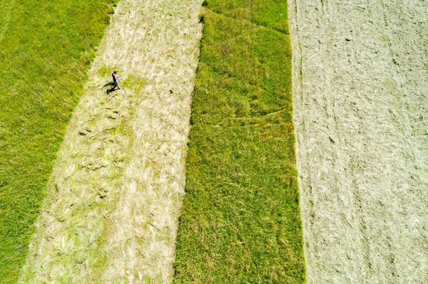 Tratamiento Manual Del Heno Valtellina Vista Aérea — Foto de Stock