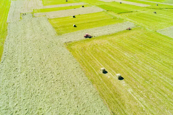 Mechanized Haymaking Aerial View — Stock Photo, Image