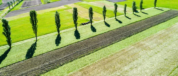Jordbruksskiften Utsikt Från Luften — Stockfoto