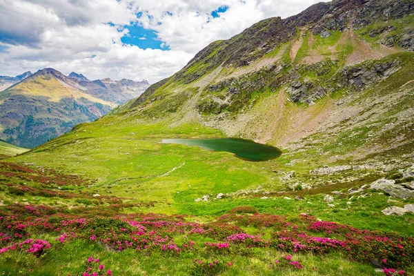 Val Grosina Val Pedruna Valtellina Sjö — Stockfoto