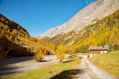 Bormio (It) - Val Zebr sonbahar görünümü