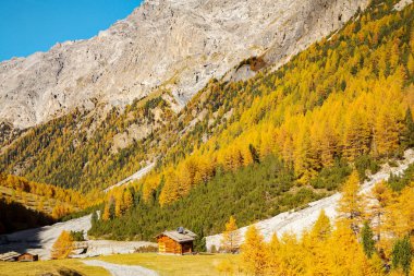 Bormio (It) - Val Zebr sonbahar görünümü
