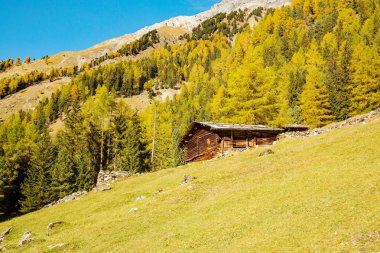 Bormio (It) - Val Zebr sonbahar görünümü