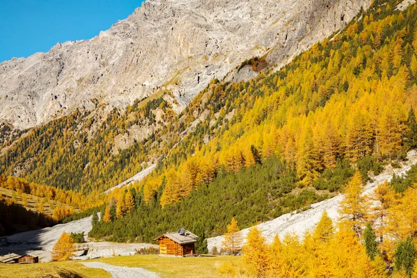 Bormio (It) - Val Zebr sonbahar görünümü
