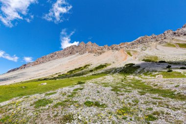 Val Alpisella - Bormio (It) - vadinin panoramik manzarası