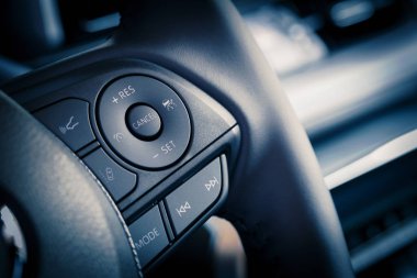 direksiyon üzerinde özel seyir kontrol kontrolleri